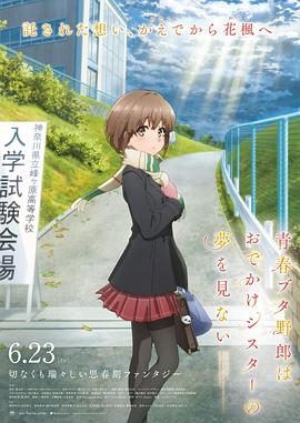 91精品久久国产青草